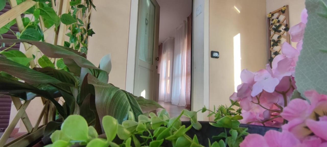 Appartamento Il Tetto dei Sogni Pistoia Esterno foto
